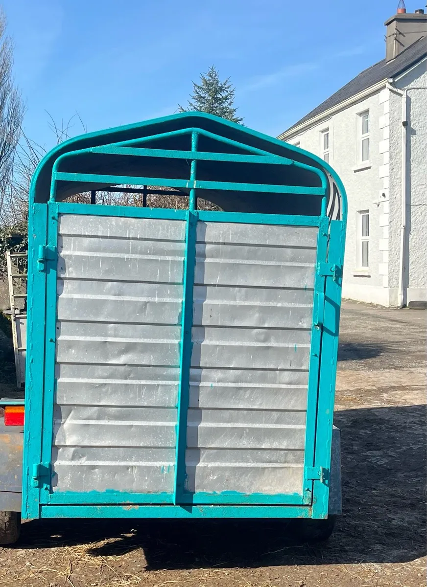 8 x 4 cattle trailer - Image 2