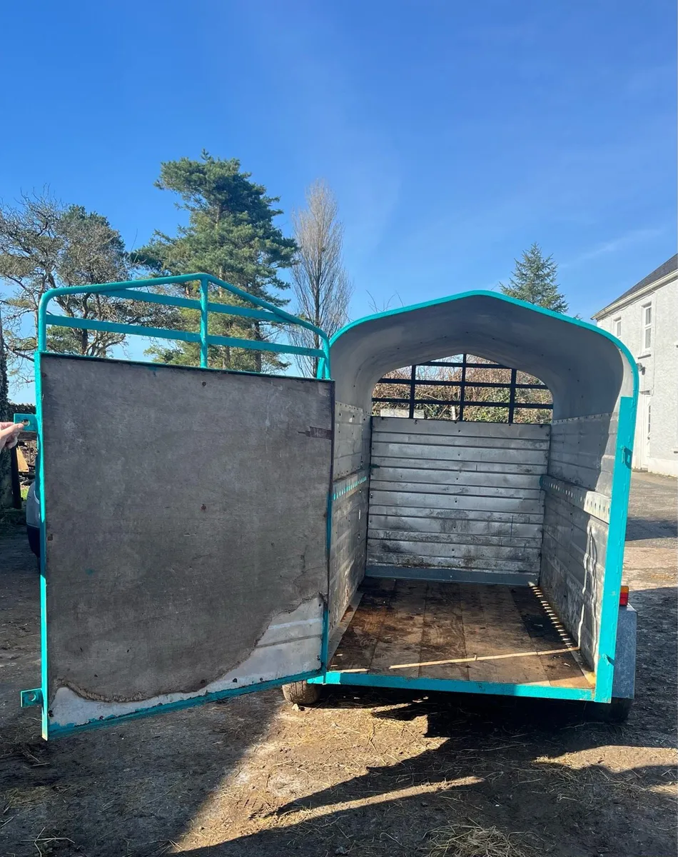 8 x 4 cattle trailer - Image 3
