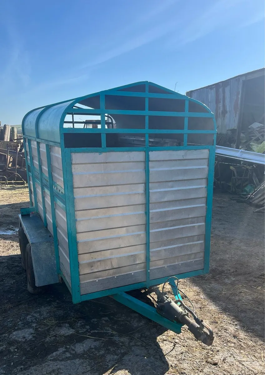 8 x 4 cattle trailer - Image 4