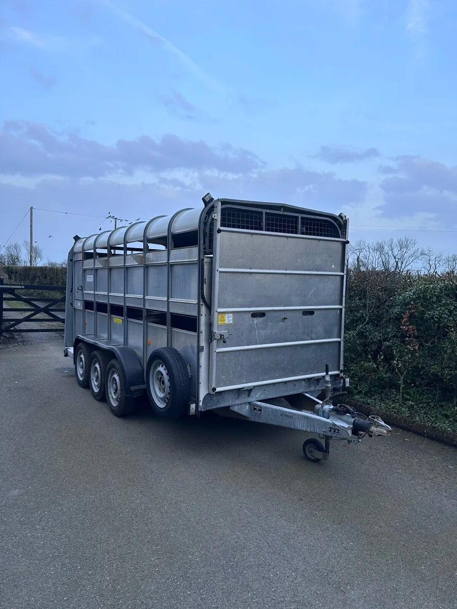 Ifor Williams 14ft tri axel cattle trailer - Image 1