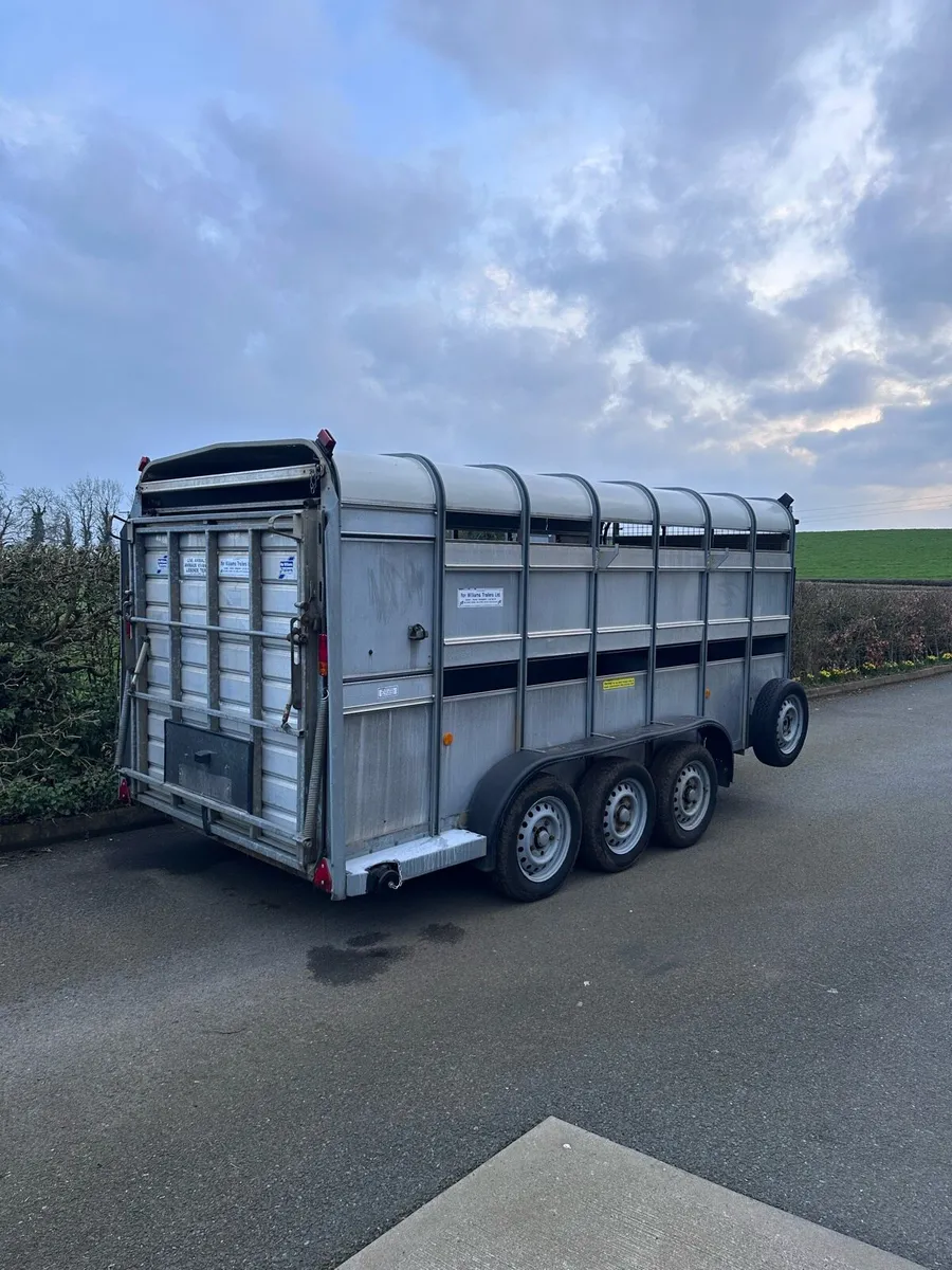 Ifor Williams 14ft tri axel cattle trailer - Image 2