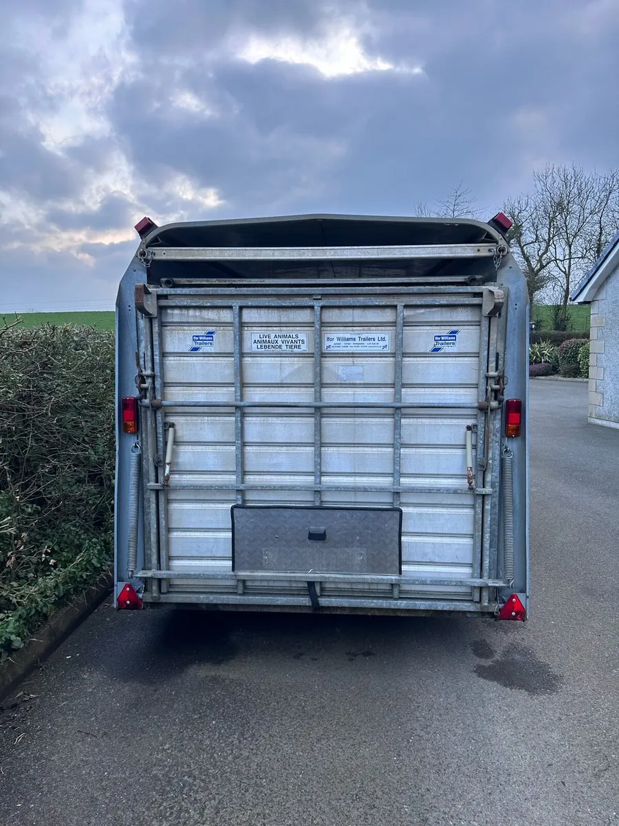 Ifor Williams 14ft tri axel cattle trailer - Image 3