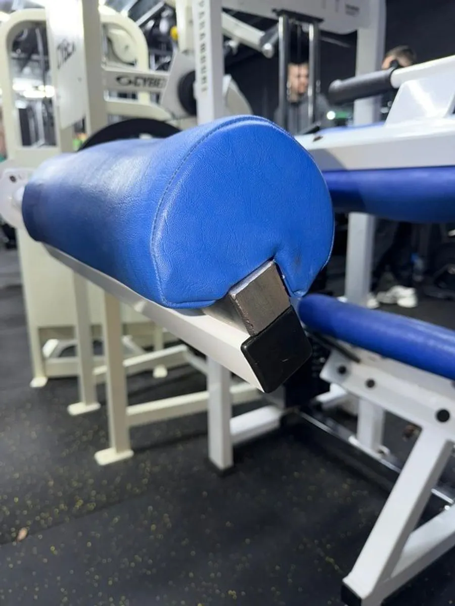 Paramount Seated Leg Curl - Image 4