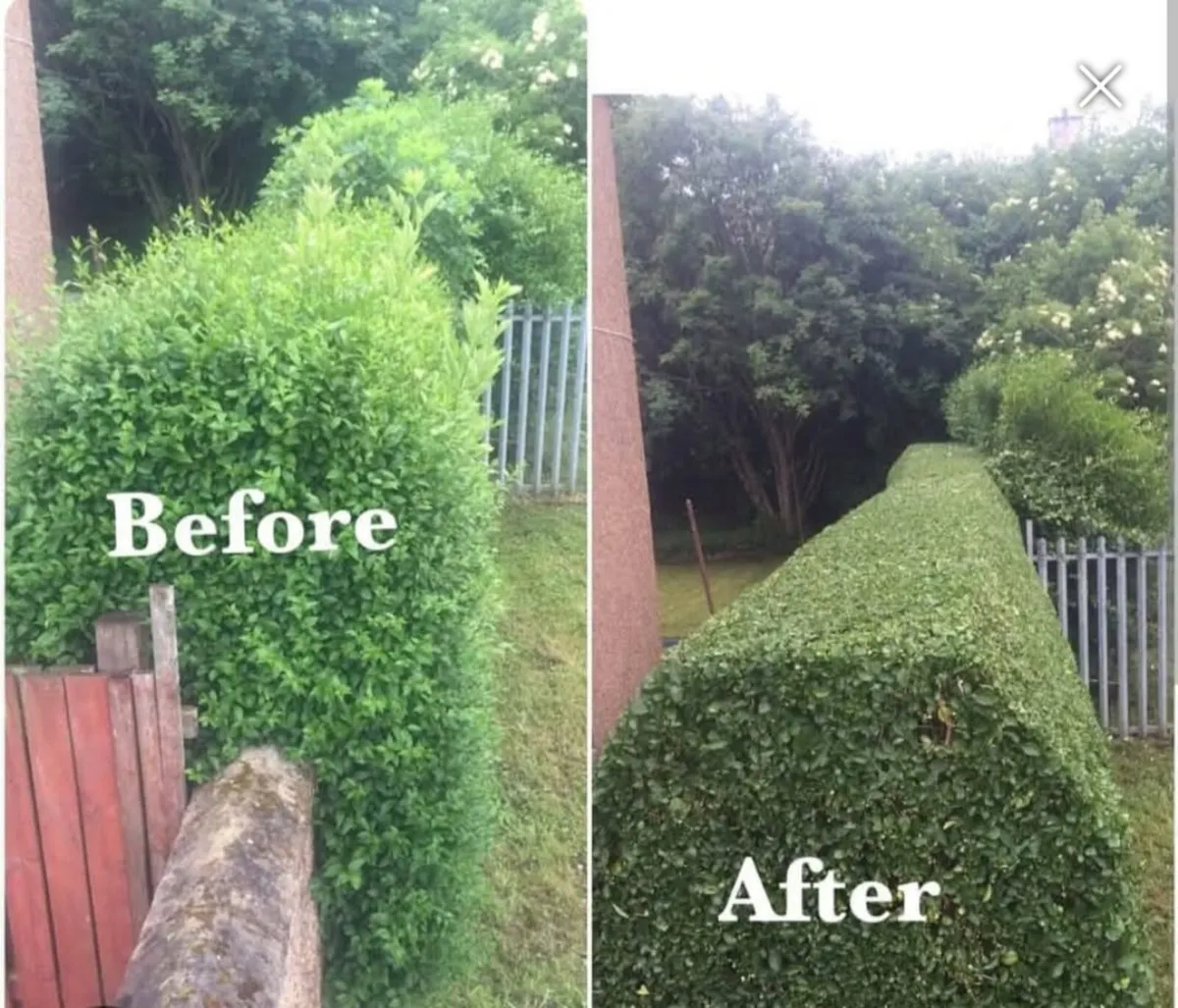 All garden work carried out free quotation - Image 2