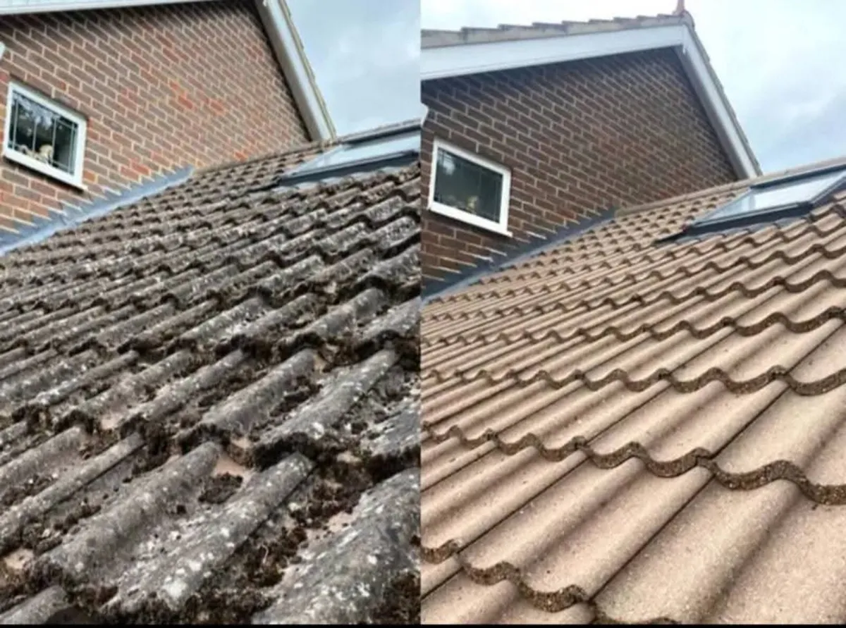 All garden work carried out free quotation - Image 4