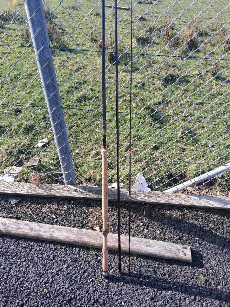 Fly rod - Image 2