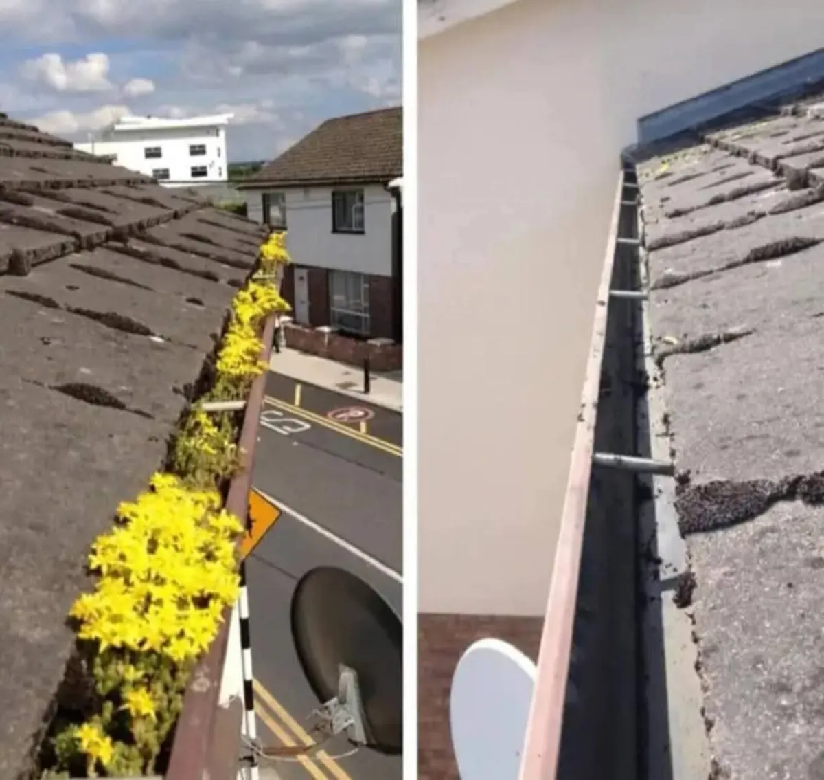 Power washing services reasonable prices - Image 3