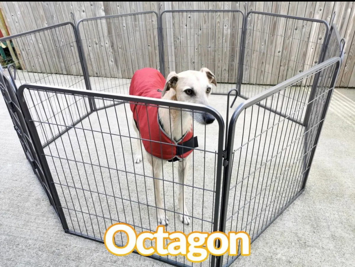 DOG PEN WITH 8 sides - Image 1