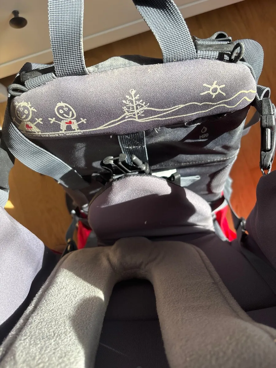 Phil&Teds toddler carrier - Image 2