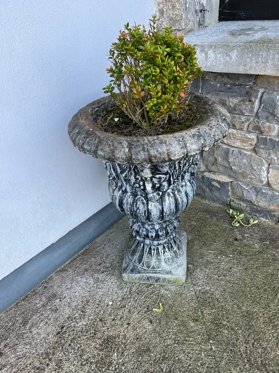 Concrete flower pots large €65 ea - Image 1