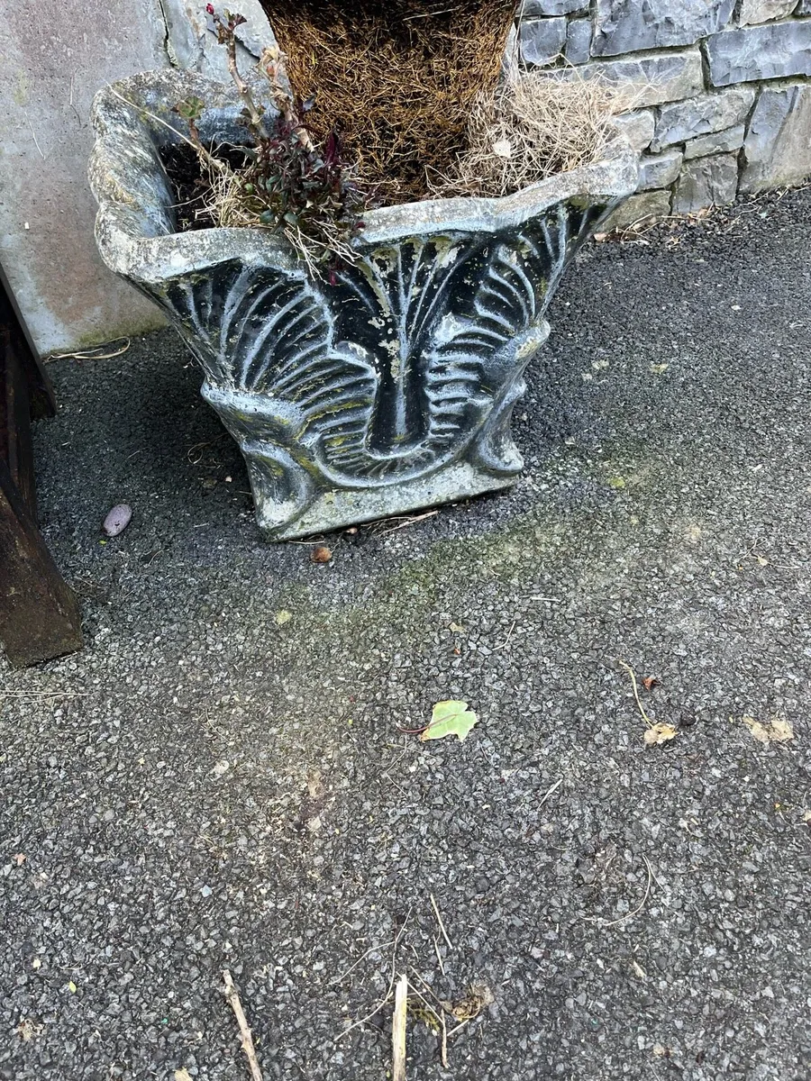 Concrete flower pots large €65 ea - Image 4