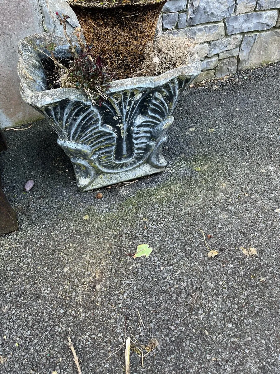 Concrete flower pots large €65 ea - Image 2