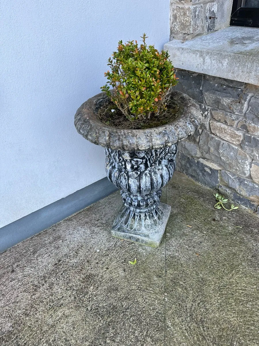 Concrete flower pots large €65 ea - Image 3
