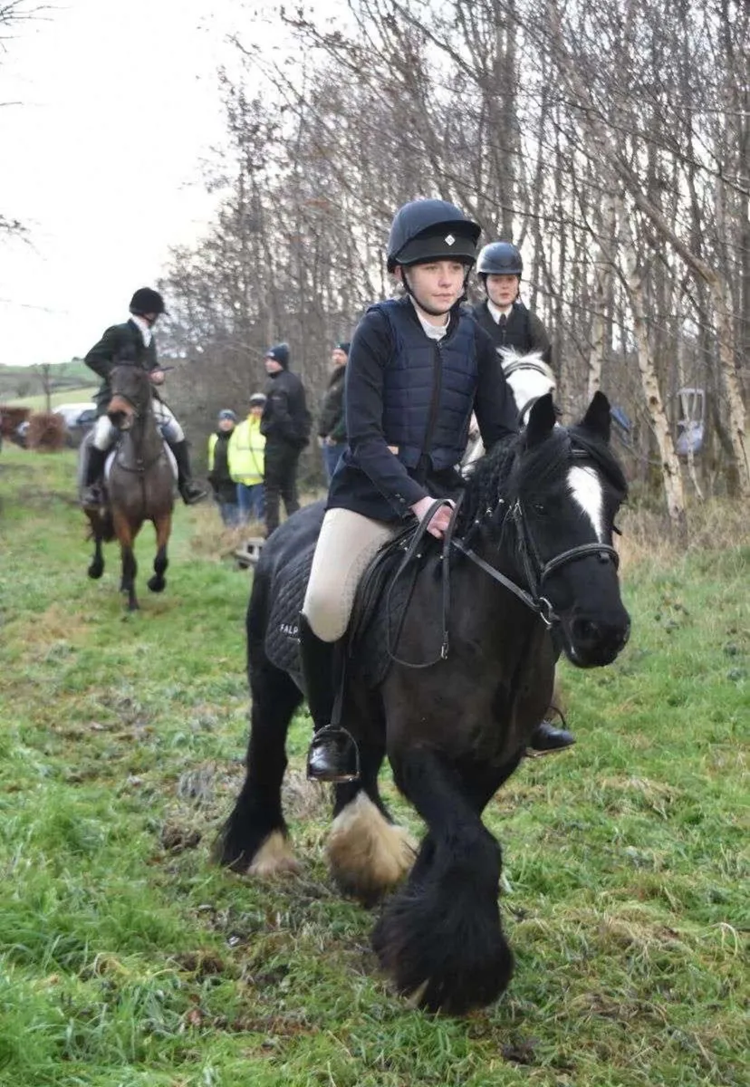 ⭐️Every parents dream beginner pony ⭐️ - Image 1