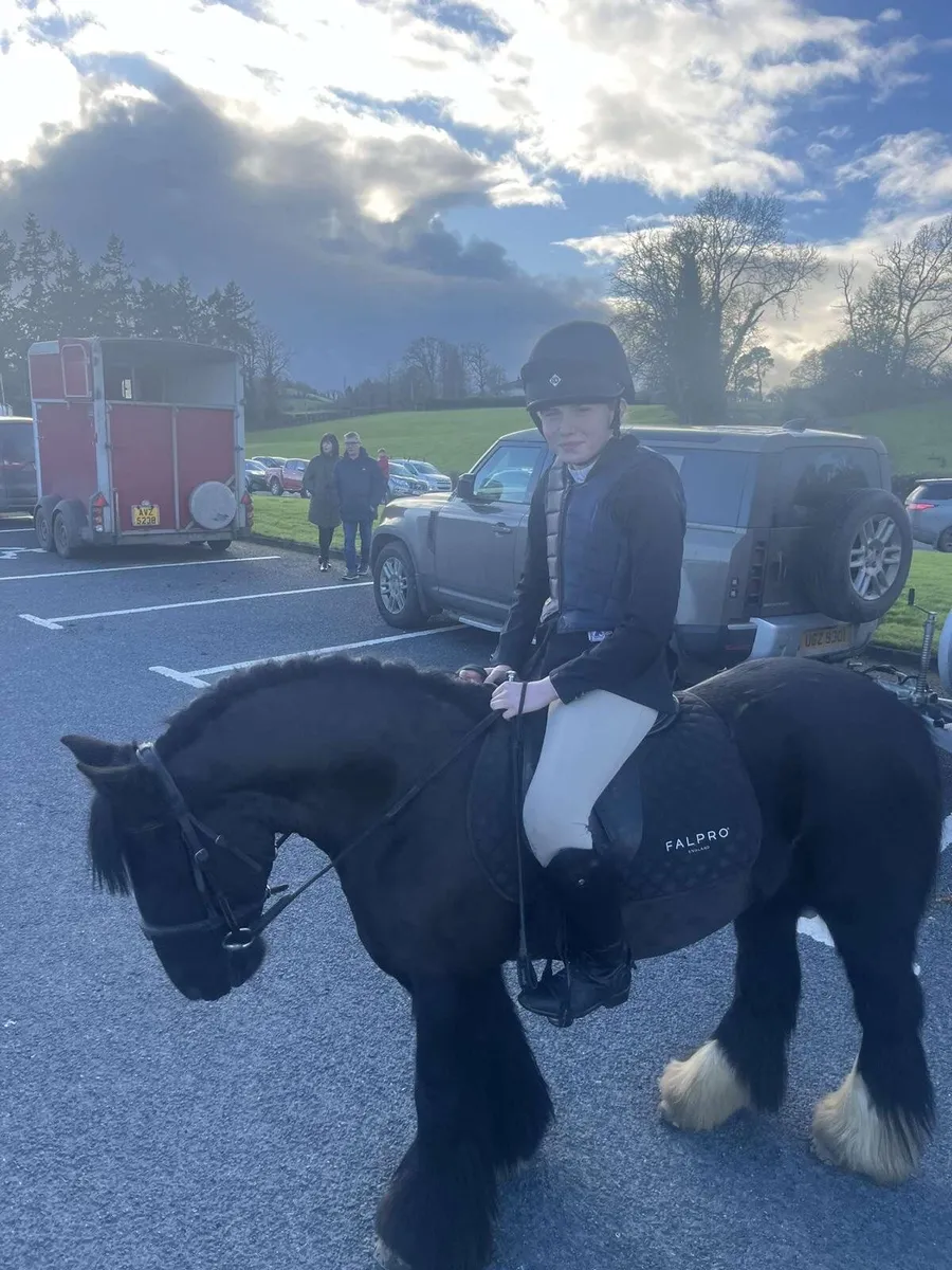 ⭐️Every parents dream beginner pony ⭐️ - Image 2