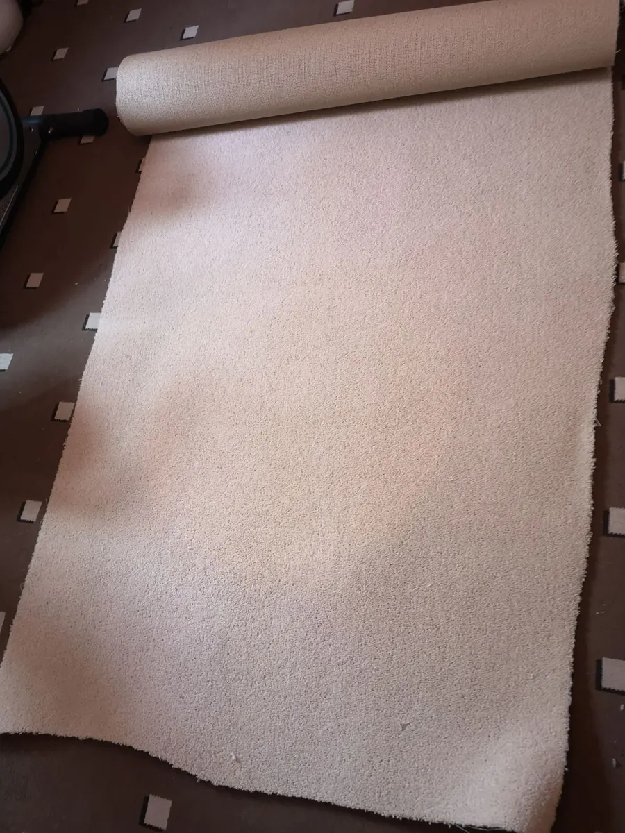Free carpet offcuts - Image 2