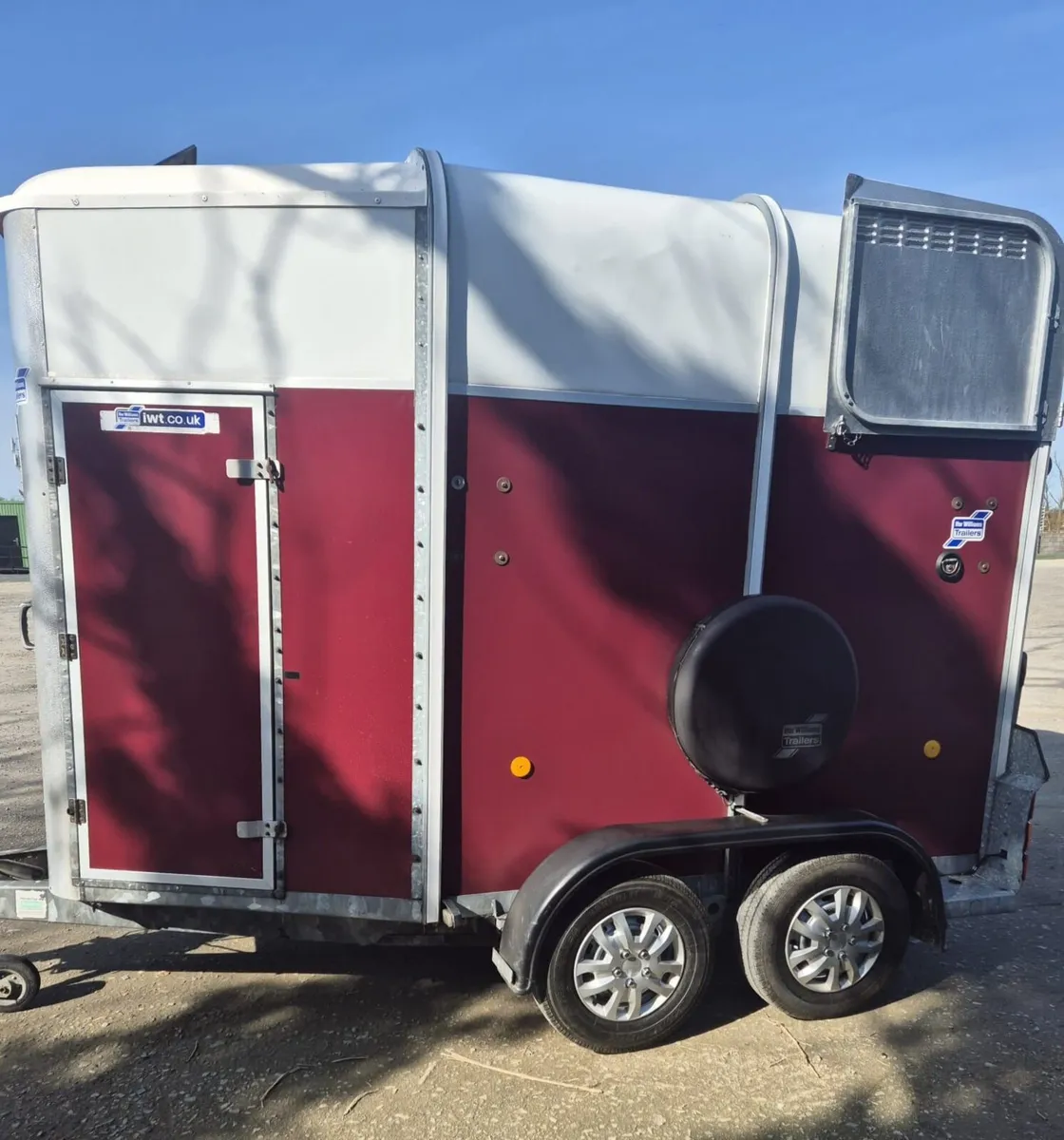 Ifor Williams  505 Horsebox - Image 3