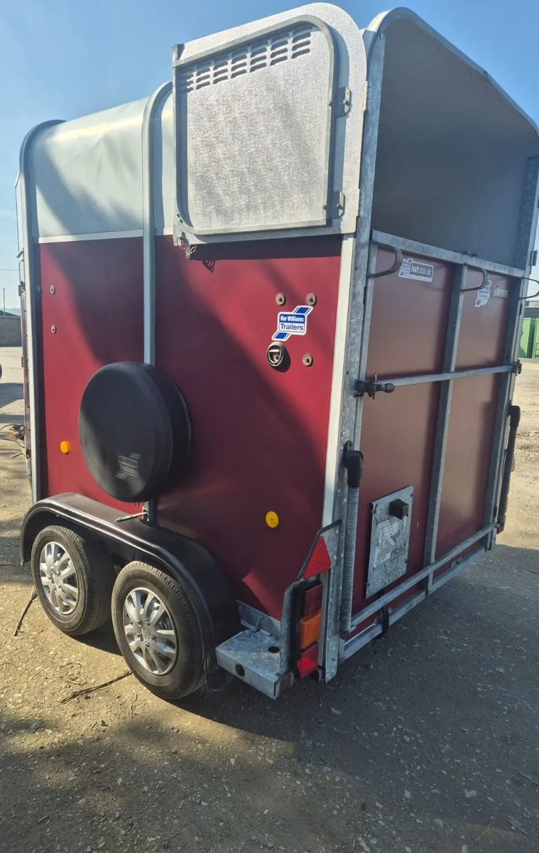 Ifor Williams  505 Horsebox - Image 4