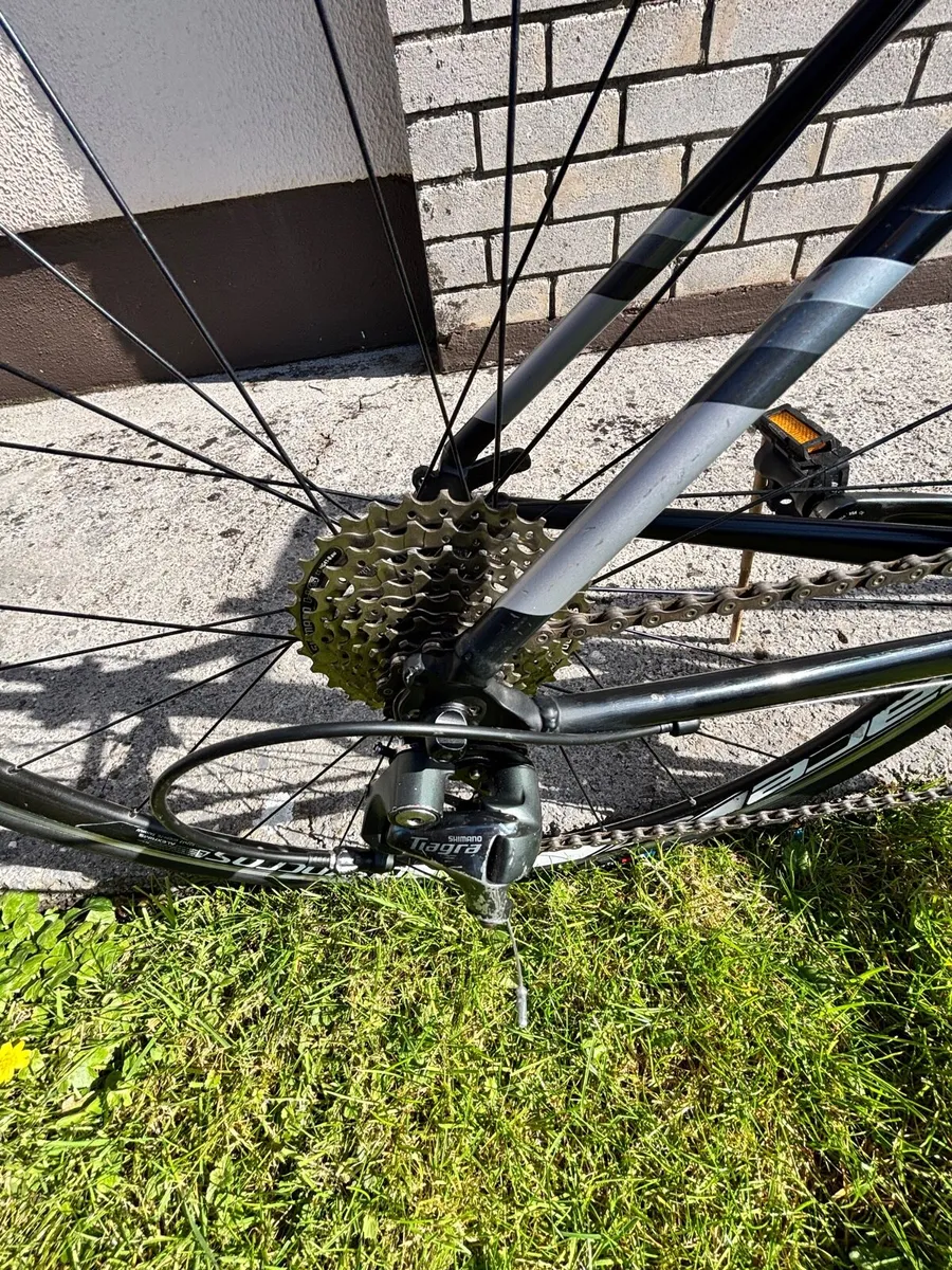 Trek road bike - Image 2