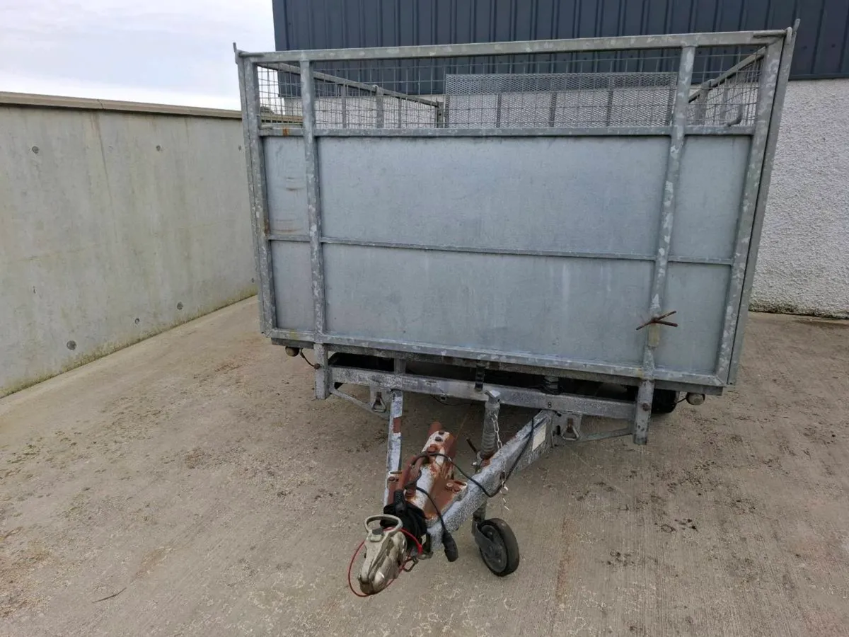 Ifor williams 10ft x 6ft 6" trailer with mesh side - Image 2