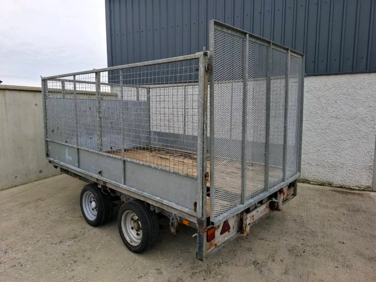 Ifor williams 10ft x 6ft 6" trailer with mesh side - Image 3
