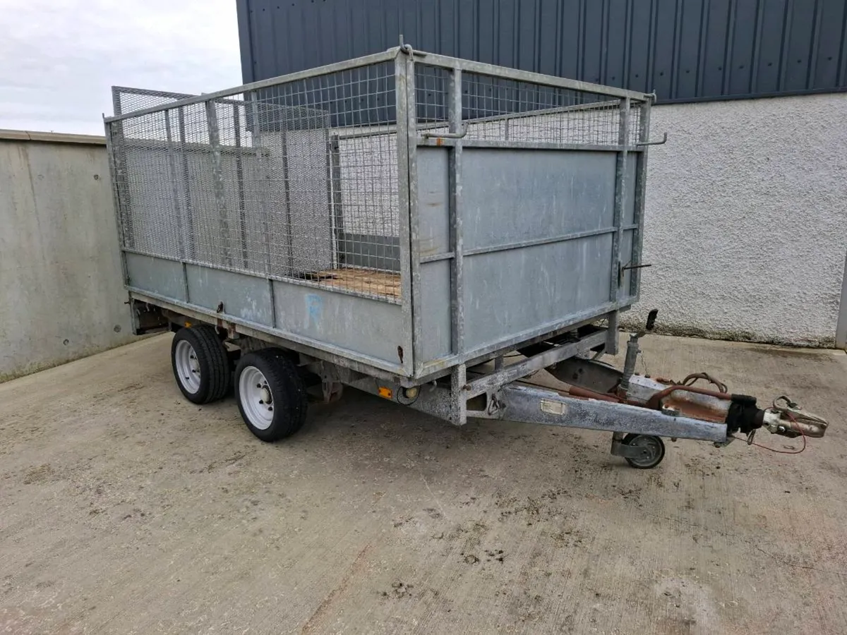 Ifor williams 10ft x 6ft 6" trailer with mesh side - Image 1