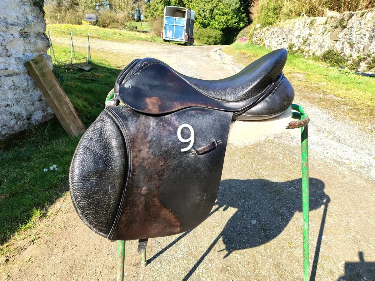 Saddle Clearance - Image 4