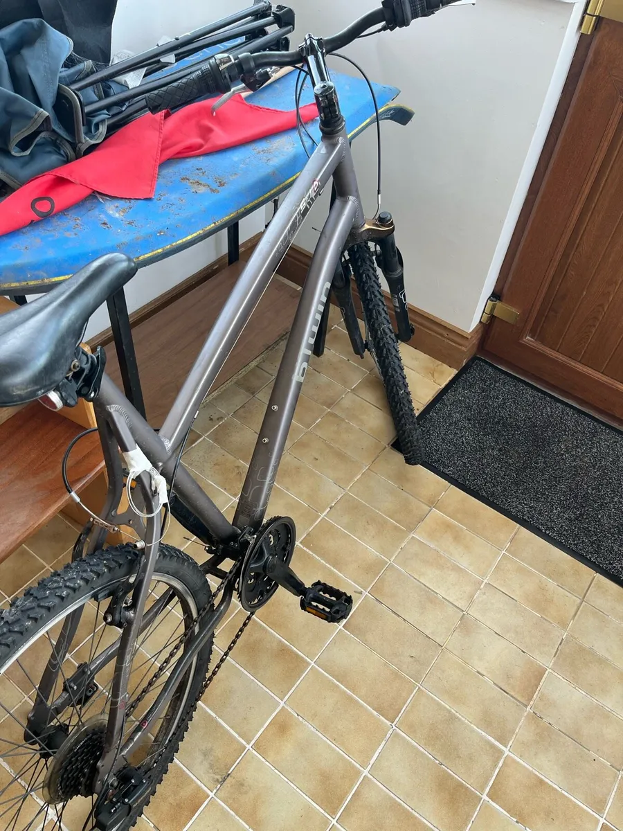 Adult Bike - Image 2