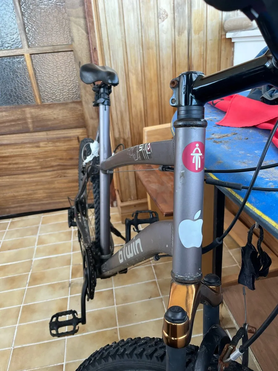 Adult Bike - Image 3