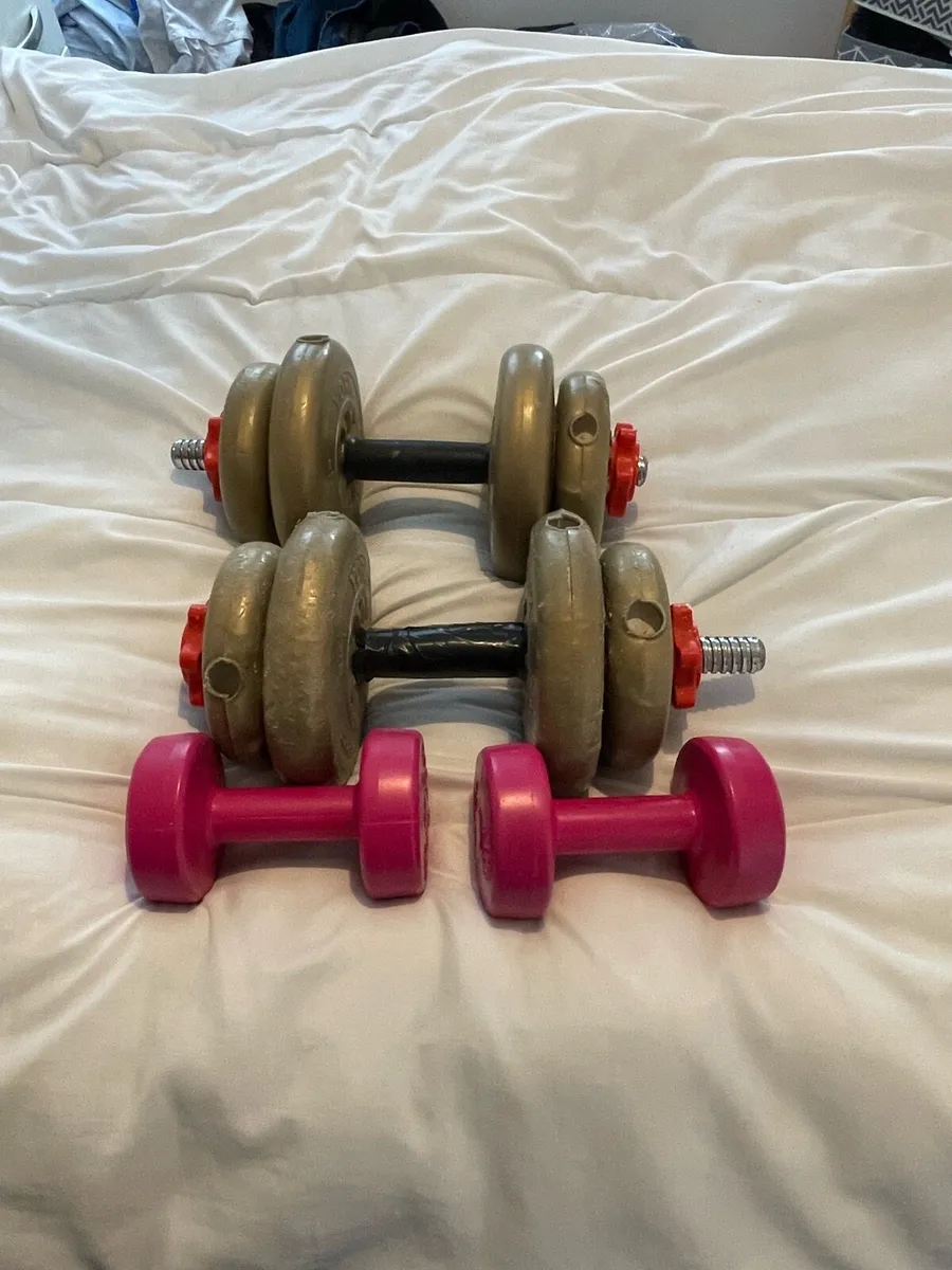 Gym lifting weights - Image 2