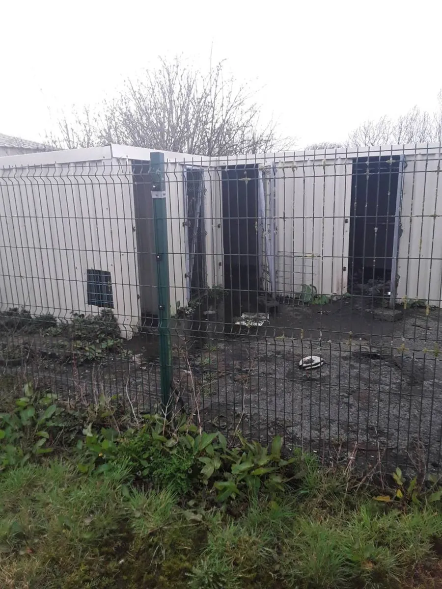 Dog pens x4 cost 3000euro bargain 1000euro ono - Image 1