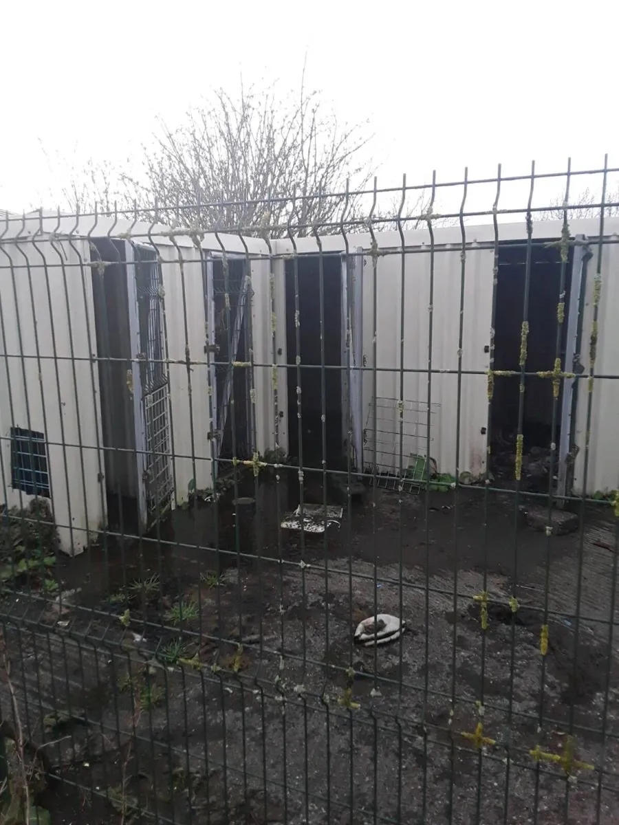 Dog pens x4 cost 3000euro bargain 1000euro ono - Image 4