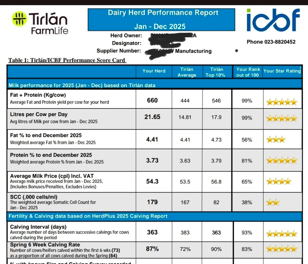 8 Maiden Heifers - Image 1