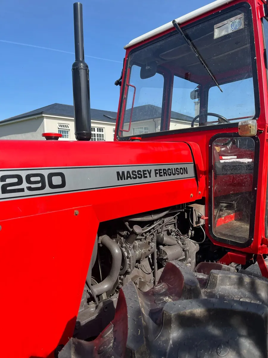 Massey Ferguson - Image 2