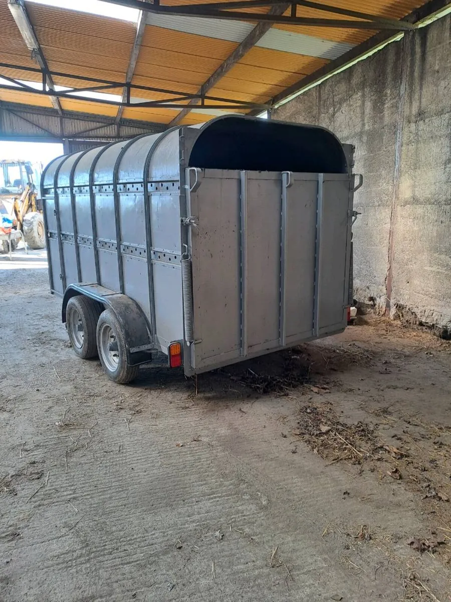 Cattle trailer - Image 3