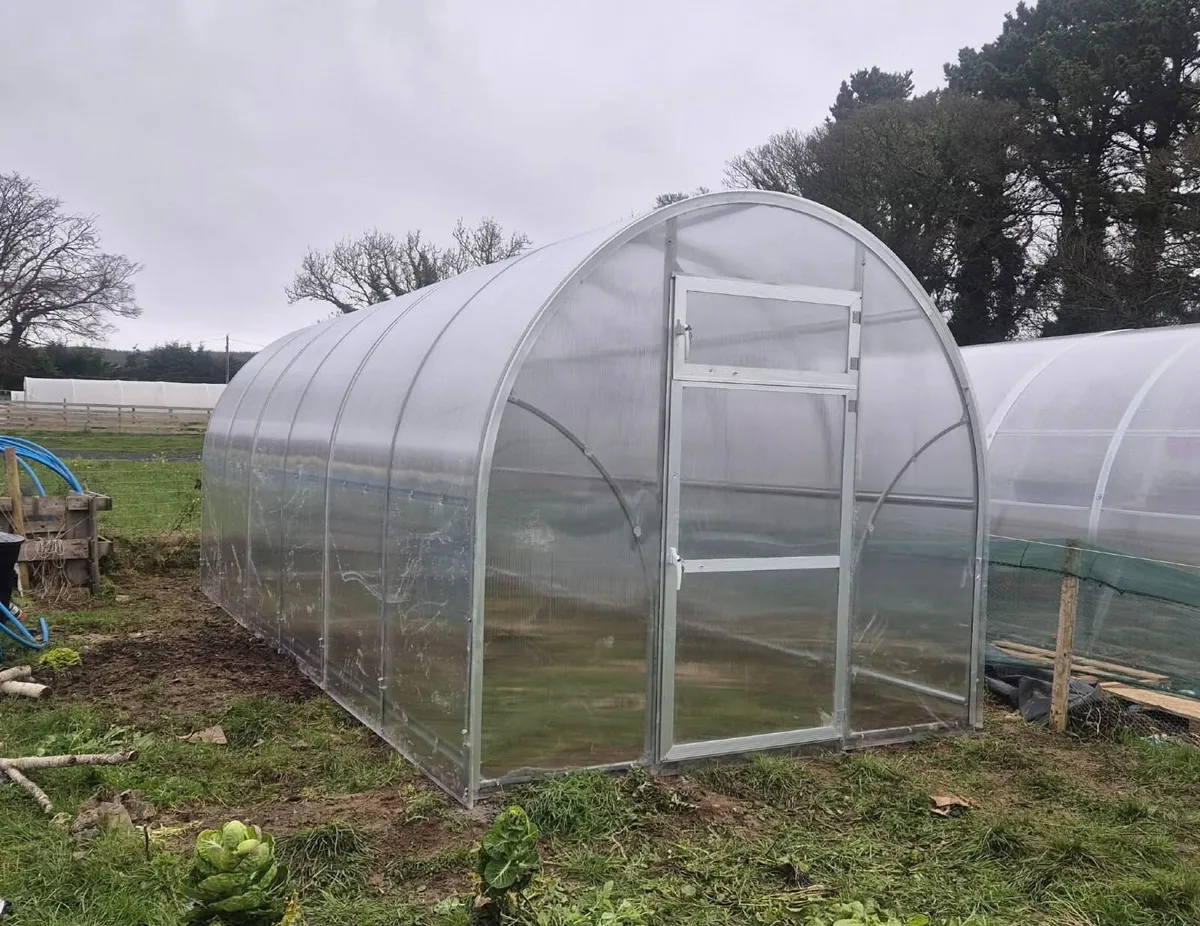 New SIGMA LUX 2.5 - Image 2