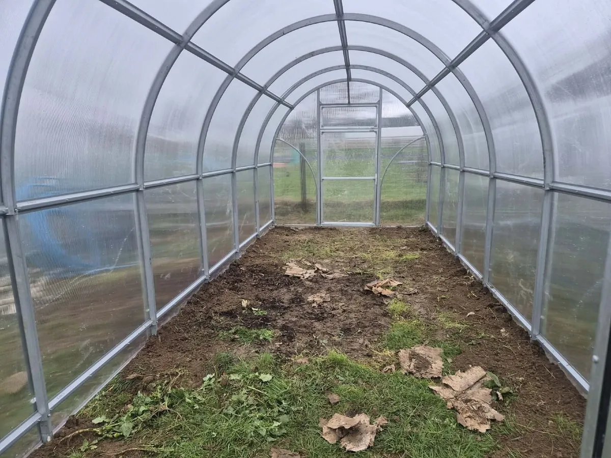 New SIGMA LUX 2.5 - Image 4