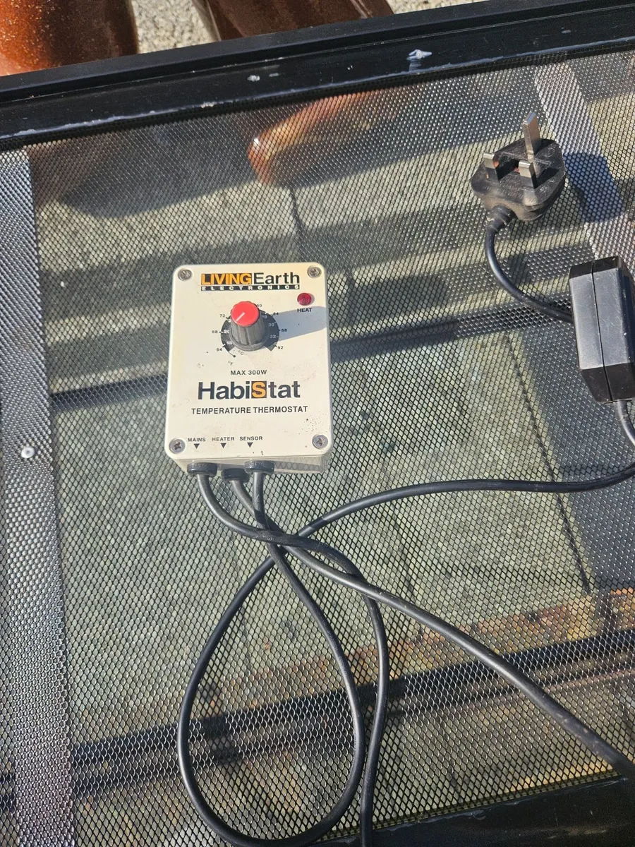 Reptile tank - Image 4