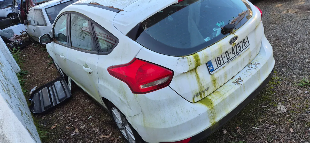 Ford focus - Image 2