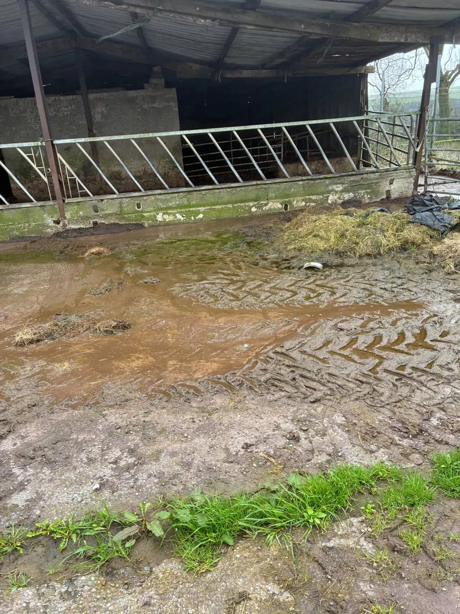 4 x cattle feed barriers - Image 1