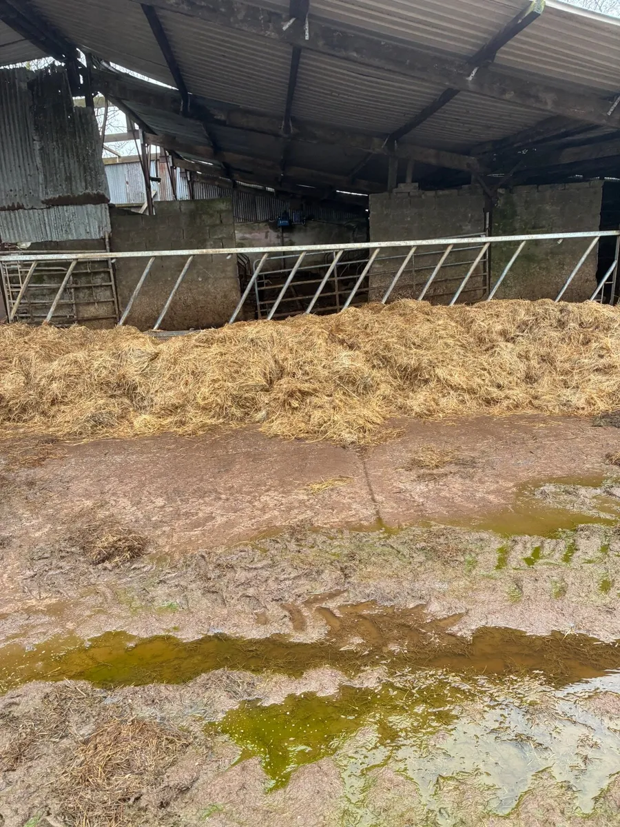 4 x cattle feed barriers - Image 4