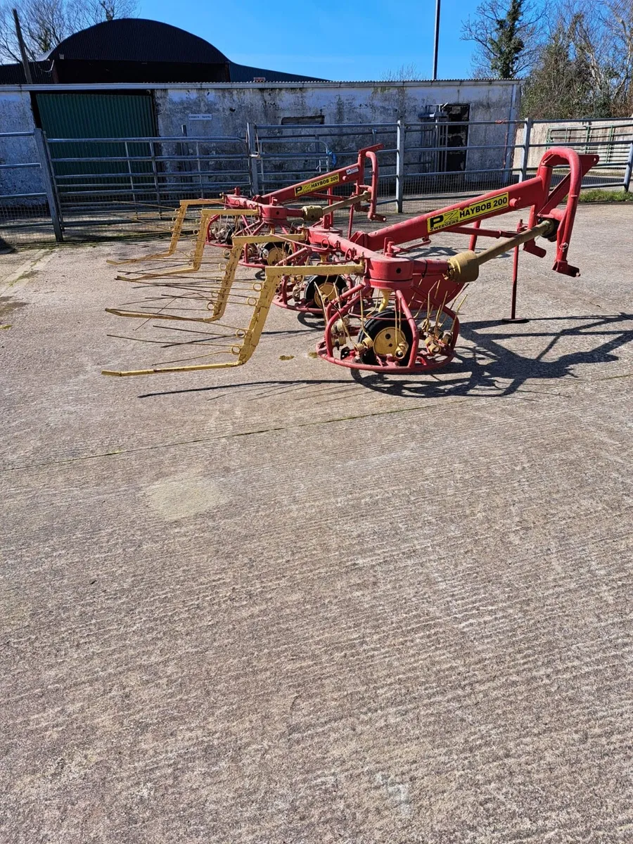 PZ Hay Bob - Image 1