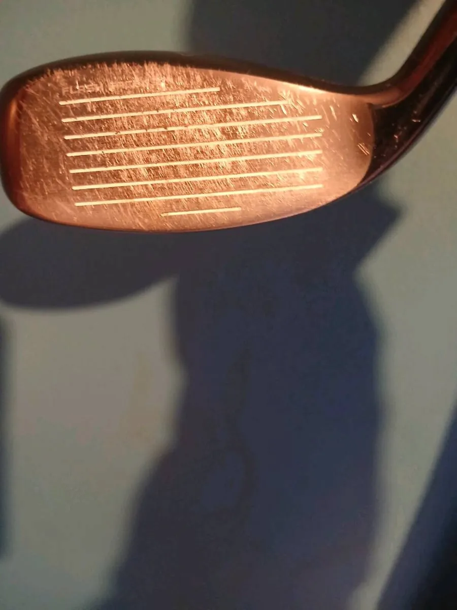 Rogue st max - Image 1