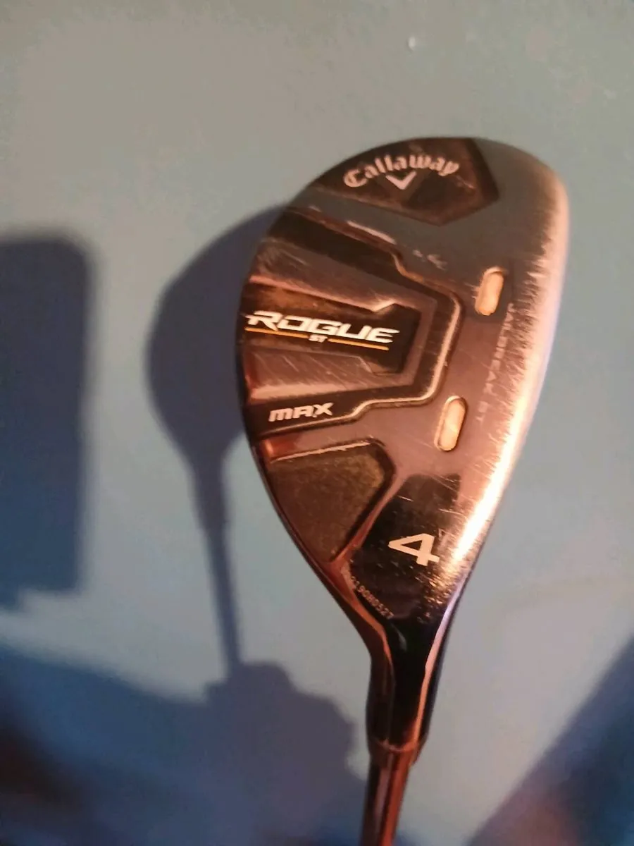 Rogue st max - Image 2