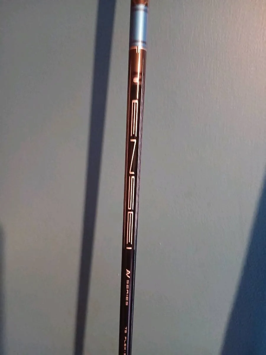 Rogue st max - Image 4