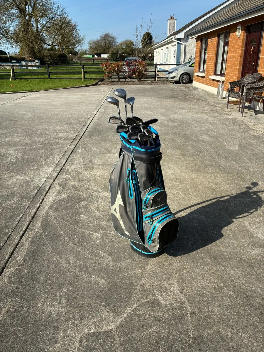 Beautiful Clubs and Bag - Image 1
