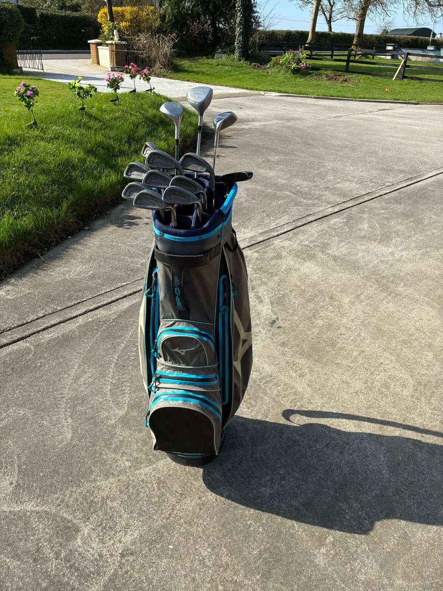 Beautiful Clubs and Bag - Image 2