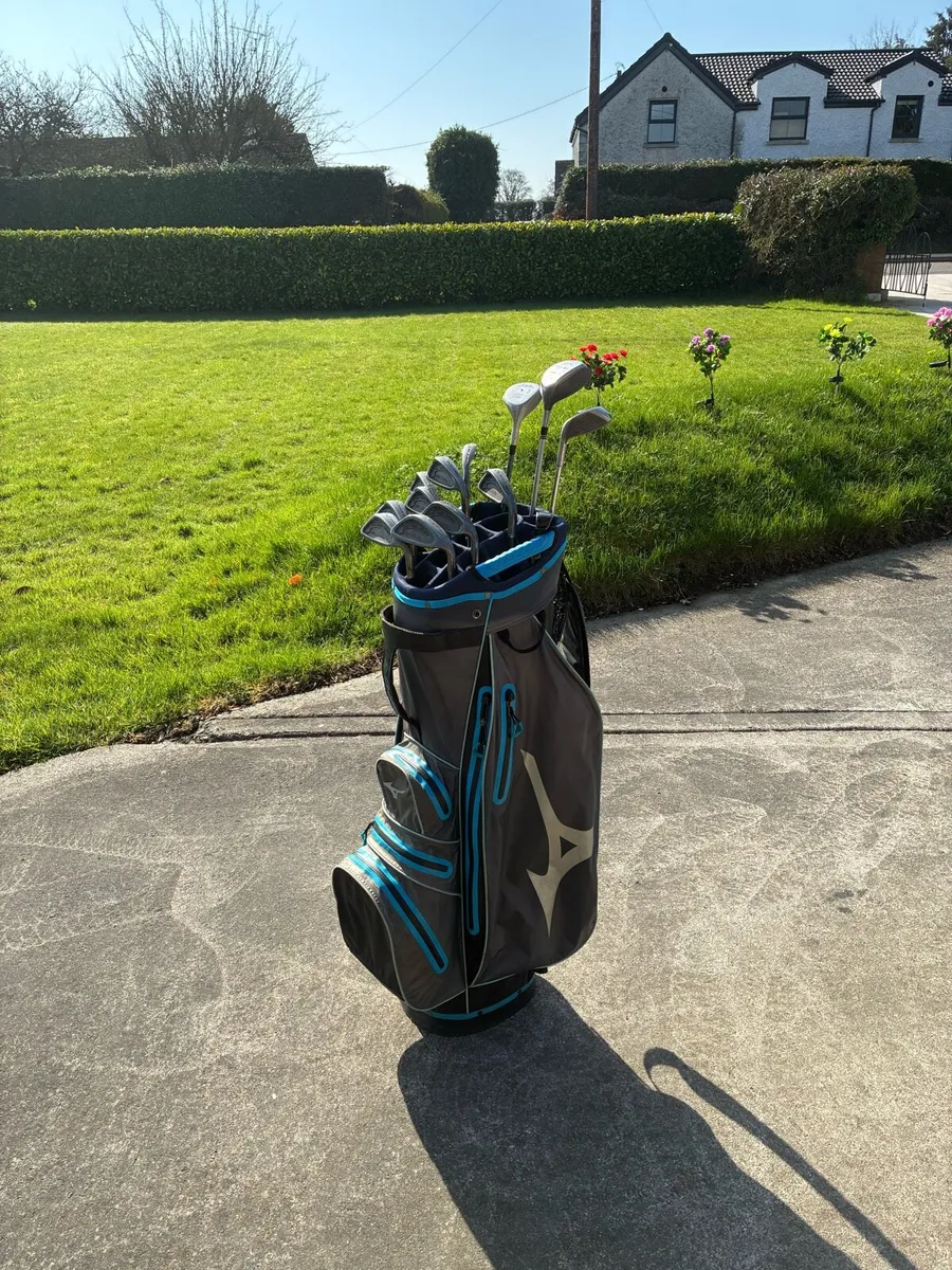 Beautiful Clubs and Bag - Image 4