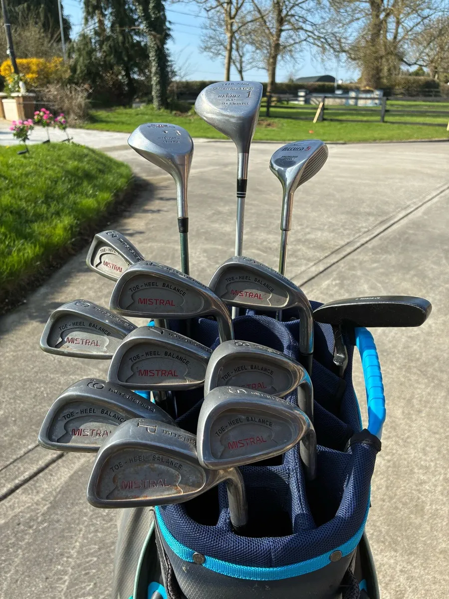 Beautiful Clubs and Bag - Image 1