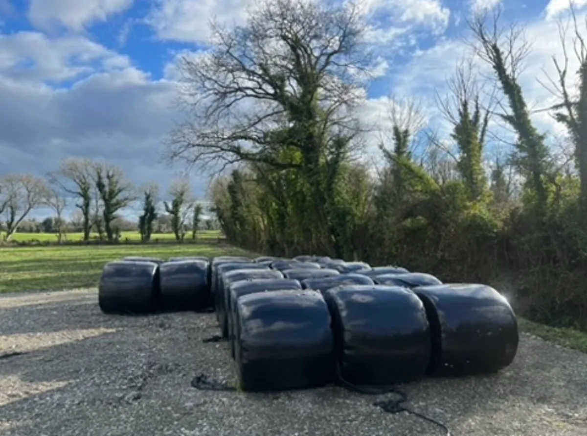 Silage for sale - €15 - Image 1